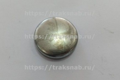 Заглушка головки блока Д-260