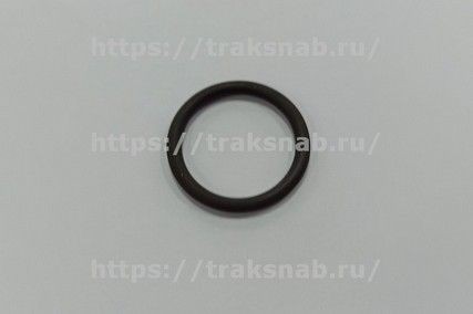 Кольцо уплотнительное форсунки Е2 — 1