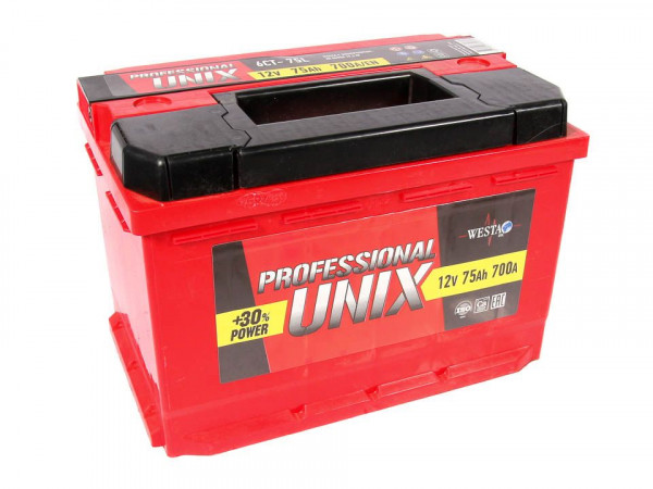 АКБ Unix Professional 6СТ-75 12В — 1